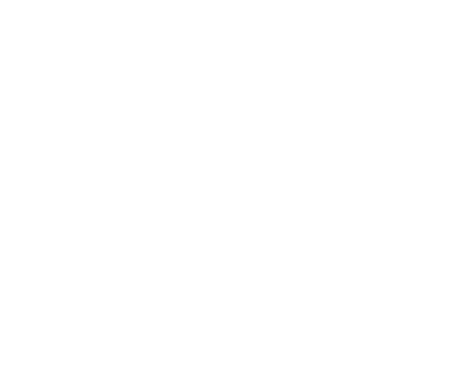 Karnival Fun - Bouncy House Rentals
